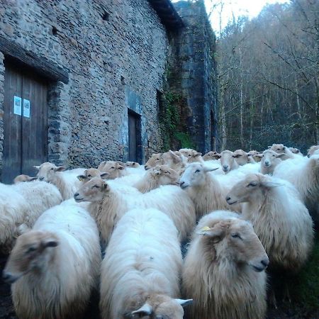 Casa Rural Orortegi Aia Dış mekan fotoğraf