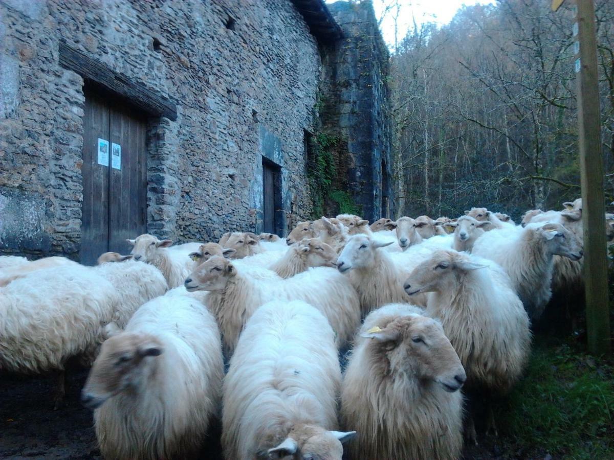 Casa Rural Orortegi Aia Dış mekan fotoğraf