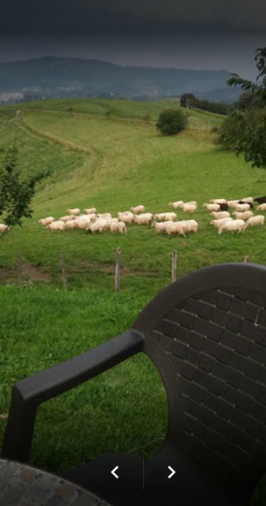 Casa Rural Orortegi Aia Dış mekan fotoğraf