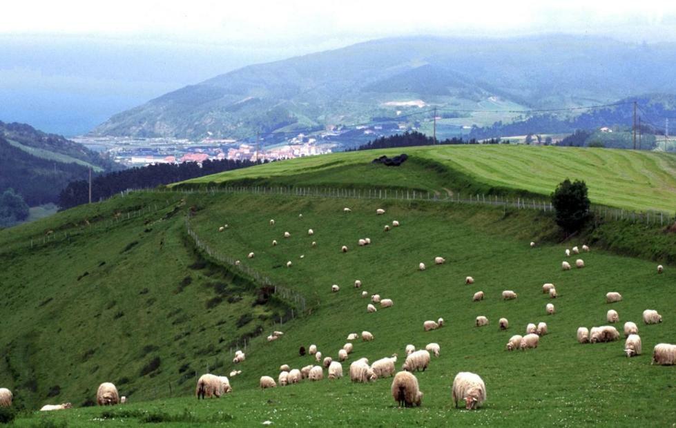Casa Rural Orortegi Aia Dış mekan fotoğraf